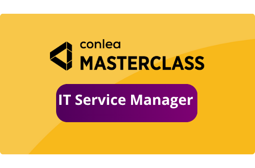 IT Service Manager-2-2