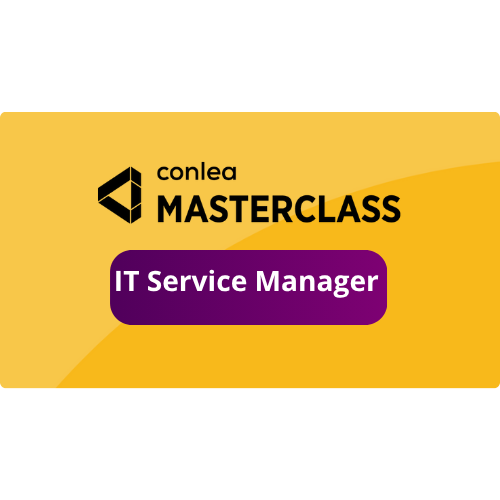 IT Service Manager-2