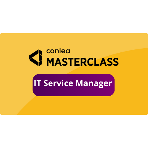 IT Service Manager-3